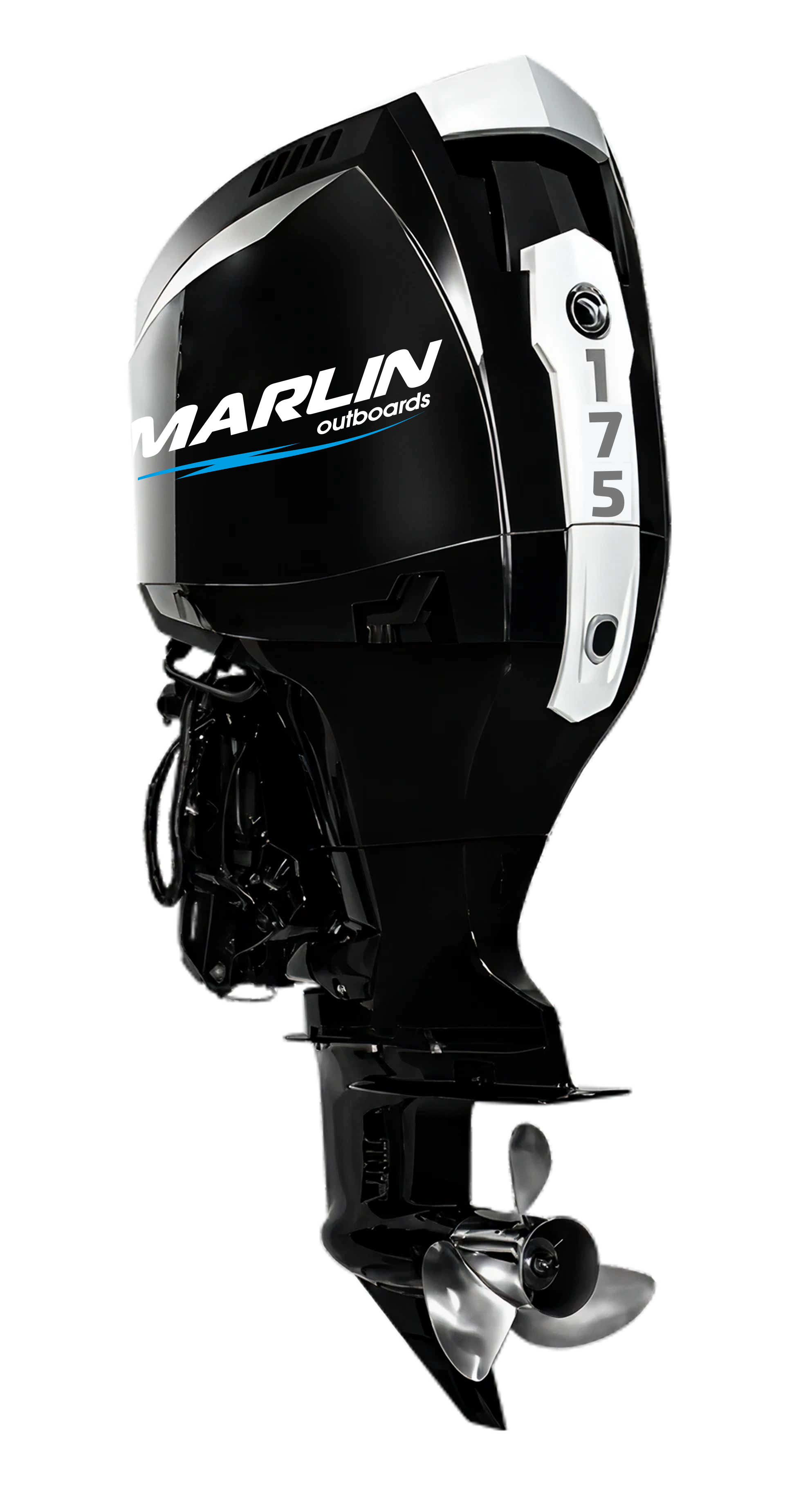Мотор MARLIN MFI 175 AERTL-MB