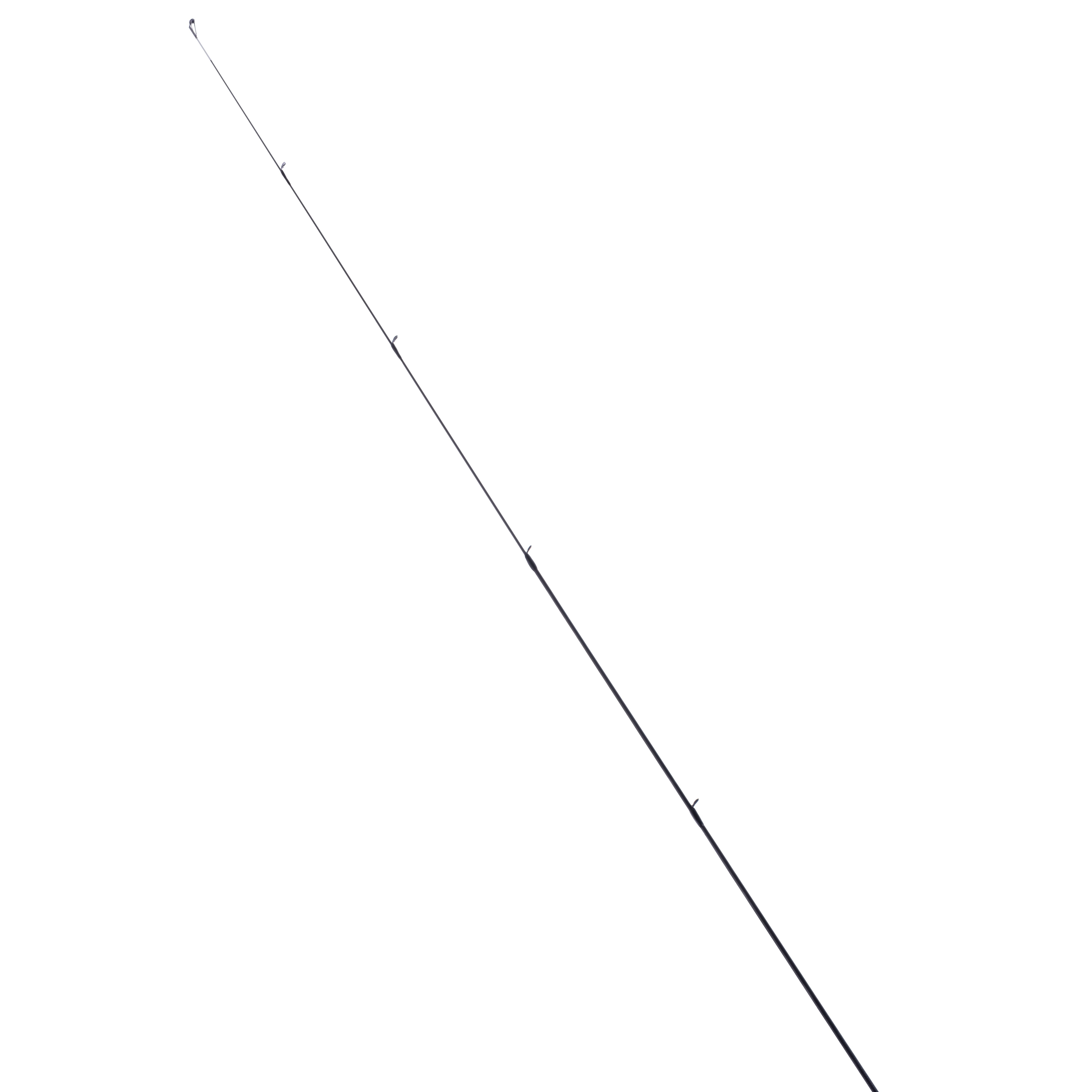 AVERON CHUB